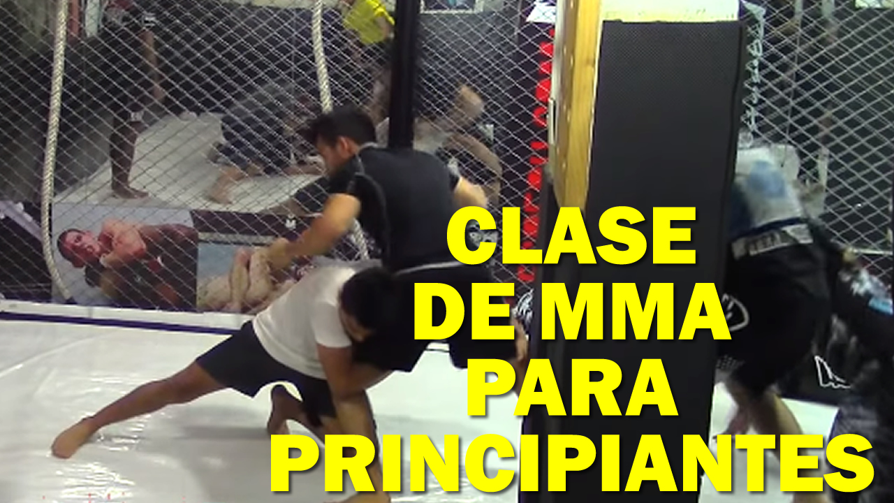 CLASES DE MMA
